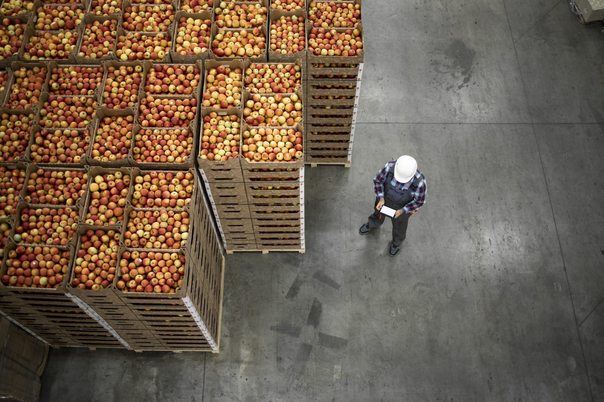 Saiba Como Ocorre A Perda E O Desperd Cio De Alimentos Ao Longo Da