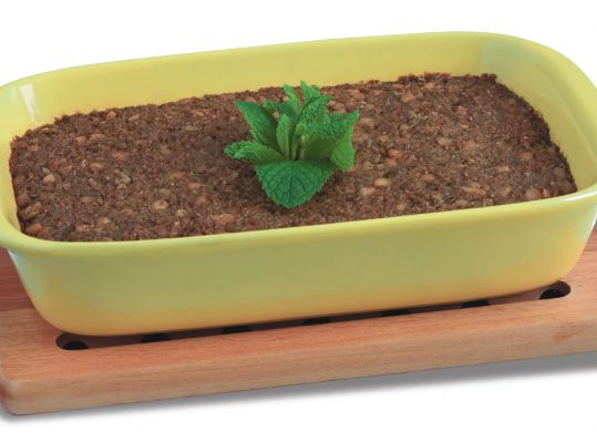 Foto de: Quibe de forno vegetariano