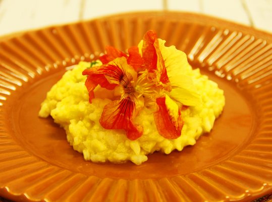 Foto de: Risoto de capuchinha e casca de abóbora moranga