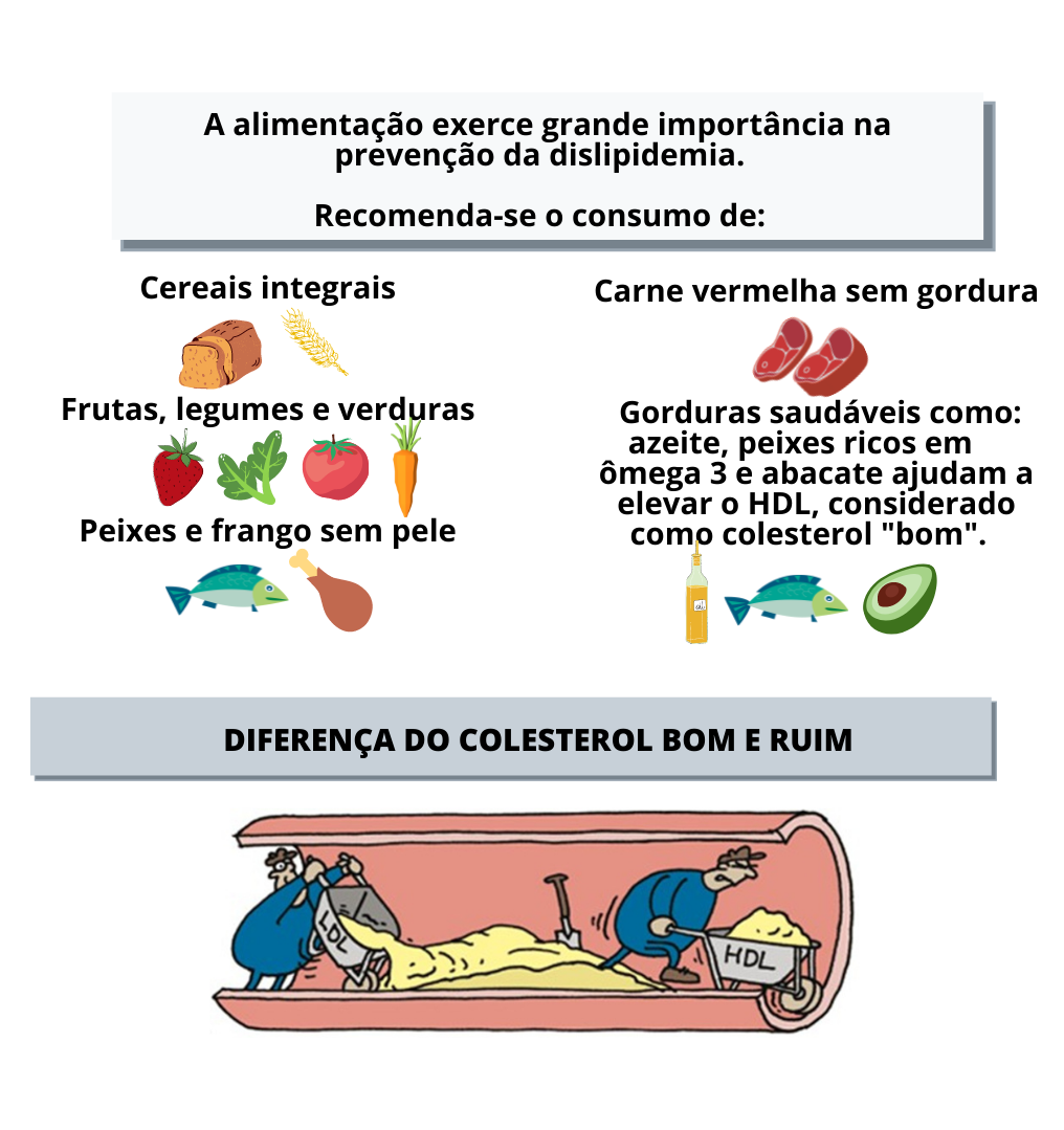 Saiba o que é dislipidemia e quais são os alimentos que ajudam na ...