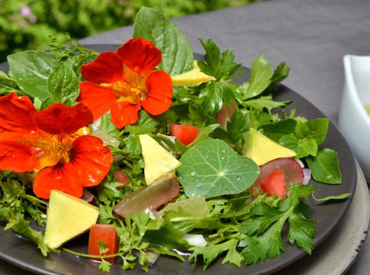 Foto de: Salada PANC