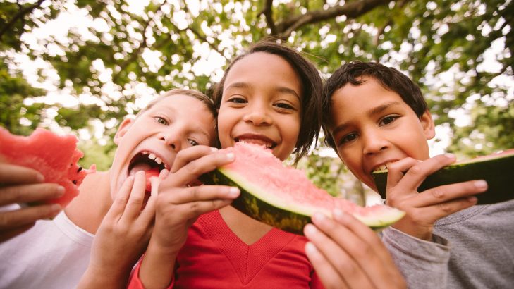 Foto de: Consumo de frutas e opções de receitas refrescantes para o verão