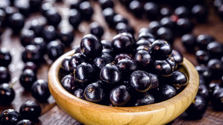 Foto de: Jabuticaba: safra do mês e benefícios da fruta com a cara do Brasil